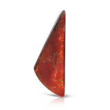 Red Ammolite